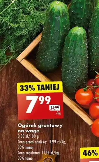 Biedronka Ogórek gruntowy na wagę 1 kg oferta