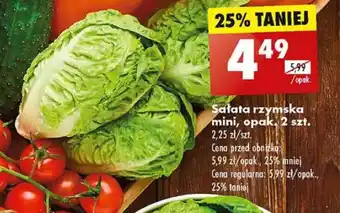 Biedronka Sałata rzymska mini, opak. 2 szt. oferta