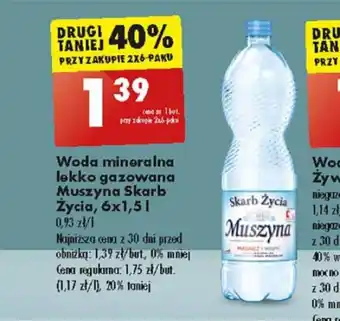 Biedronka Woda mineralna lekko gazowana Muszyna Skarb Życia, 6x1,5l oferta