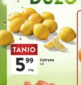Intermarche Cytryna 1kg oferta