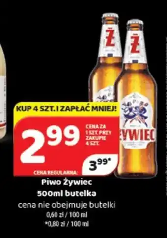 Delfin Piwo żywiec 500ml oferta