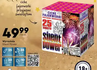 Biedronka Fajerwerki wyrzutnia hestia oferta