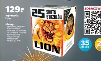 Netto Wyrzutnia lion oferta
