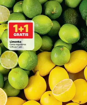 Netto Limonka oferta