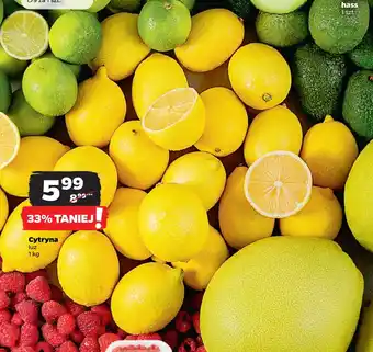 Netto Cytryna oferta