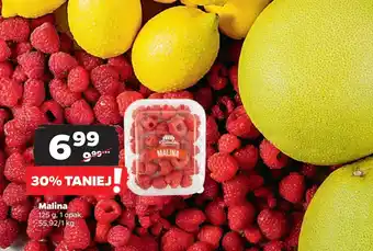 Netto Malina oferta