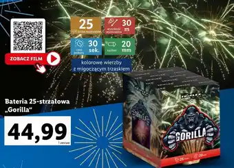 Lidl Fajerwerki o oferta