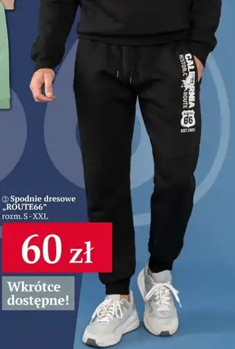 Woolworth Spodnie dresowe oferta