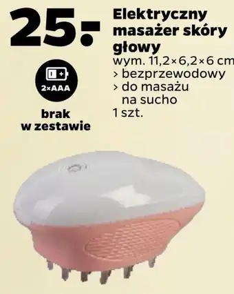 Netto Masażer do głowy oferta