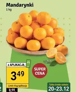 Stokrotka Mandarynki oferta