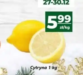 Społem Cytryna oferta