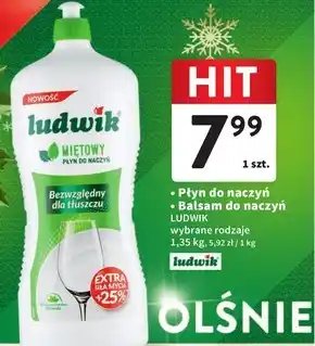 Intermarche Ludwik płyn do naczyń miętowy 1,35 kg oferta
