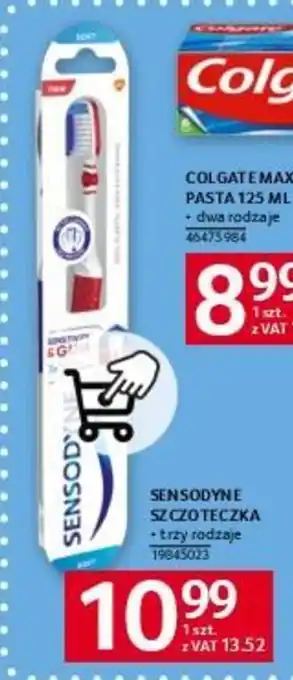 Selgros SENSODYNE SZCZOTECZKA oferta