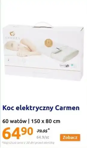 Action Koc elektryczny oferta