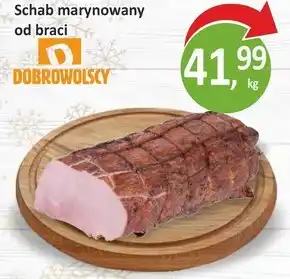 Passa Schab dobrowolscy oferta