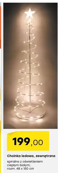 Patio Color Choinka oferta