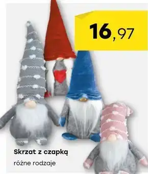 Patio Color Skrzat oferta