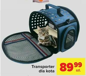 Carrefour Transporter dla kota oferta