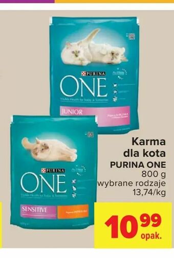 Carrefour Karma dla kota oferta
