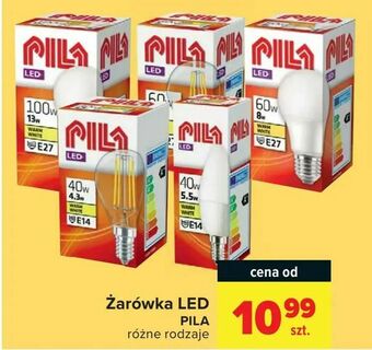 Carrefour Żarówka LED oferta