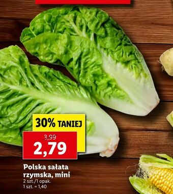 Lidl Polska sałata rzymska, mini oferta