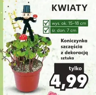 Koniczynka szczęścia z dekoracją sztuka