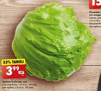 Biedronka Sałata lodowa, szt. oferta