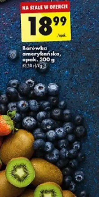 Biedronka Borówka amerykańska, opak. 300 g oferta