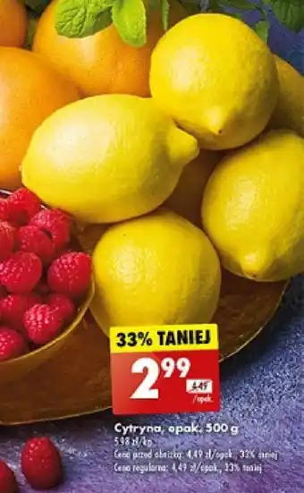 Biedronka Cytryna 500 g oferta