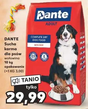 Kaufland DANTE Sucha karma dla psów wołowina 10 kg oferta