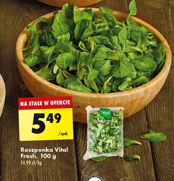 Biedronka Roszponka vital fresh oferta