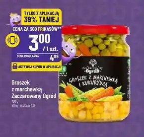 Polomarket Groszek zaczarowany ogród oferta