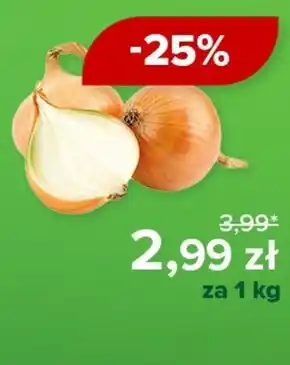 Barbora Cebula oferta