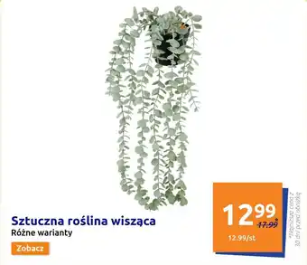 Action Sztuczna roślina wisząca oferta