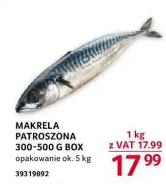 Selgros MAKRELA PATROSZONA 300-500 G BOX 1 kg oferta