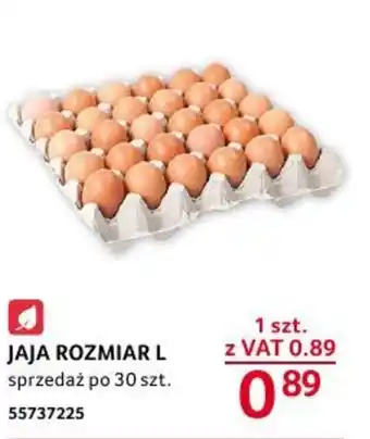 Selgros JAJA ROZMIAR L oferta