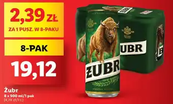Lidl Żubr 8 x 500 ml oferta