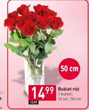 Stokrotka Bukiet róż oferta