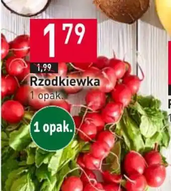 Stokrotka Rzodkiewka 1 opak. oferta