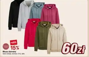 KiK Bluza damska oferta