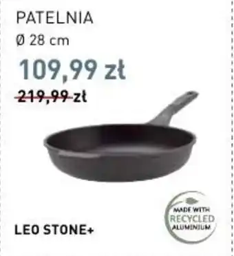 Stokrotka PATELNIA oferta