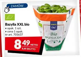 Makro Bazylia XXL bio oferta