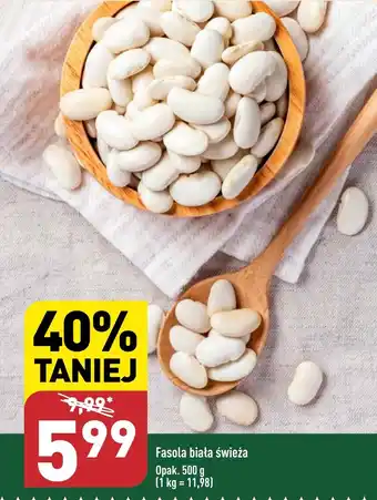 ALDI Fasola biała świeża 500 g oferta