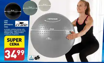 ALDI CRANE Piłka gimnastyczna oferta