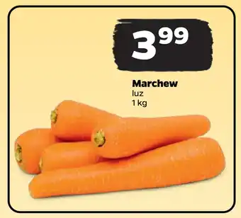 Netto Marchew oferta