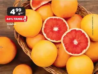 Netto Grejpfrut oferta