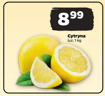 Netto Cytryna oferta