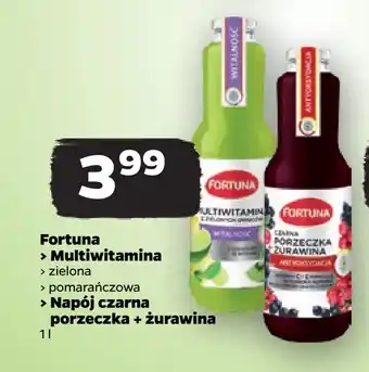 Netto Fortuna oferta