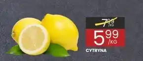 Wafelek Cytryna oferta