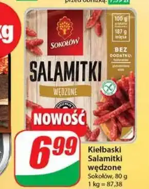 Dino Salamitki sokołów oferta